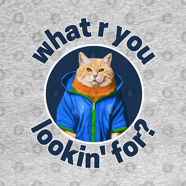 cat wearing blue jacket with what are you looking for sentences by maricetak